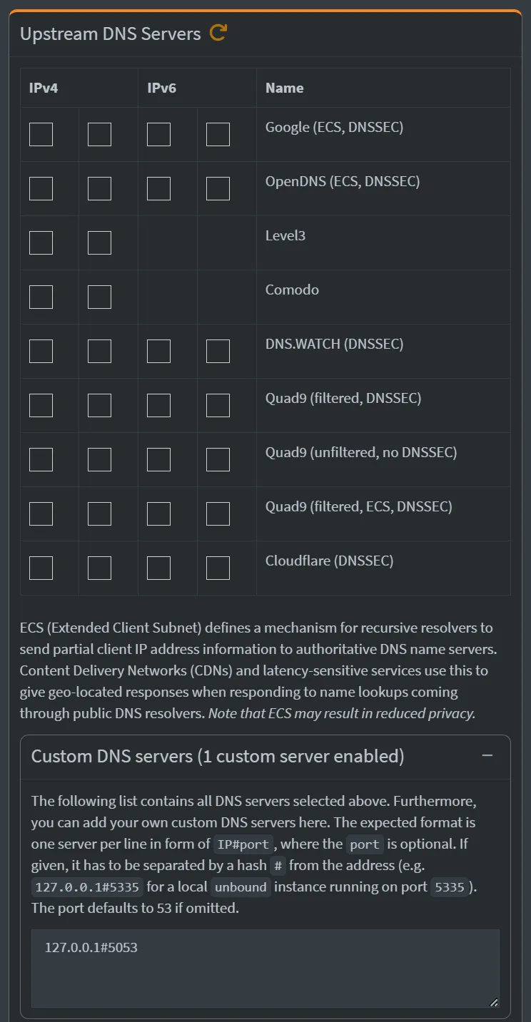Pi-Hole DNS settings.